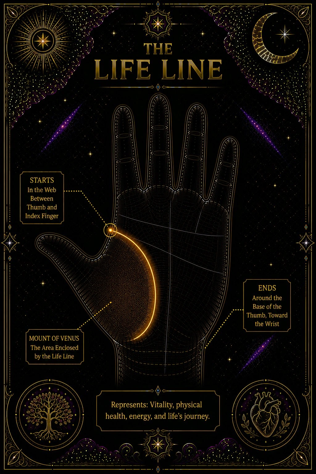 Illustration: a palm with only the life line highlighted in amber, arcing from the web between thumb and index finger downward and around the base of the thumb toward the wrist. The mount of Venus — the pad of flesh enclosed by the arc — is lightly shaded to show what the line is framing. Other lines are shown in faint gray.